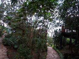 Bwindi Orugano Lodge