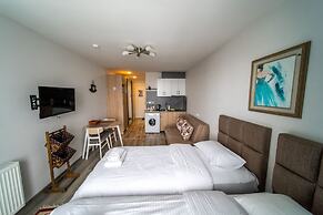 Loft 1 apartments New Gudauri