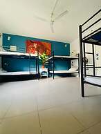 The Paceville International House.