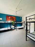 The Paceville International House.