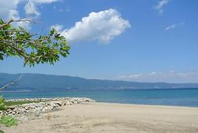 Balance Accommodation