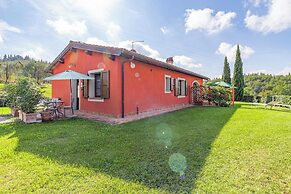 Maramaldo Sassicaia, Shared Pool, Chianti