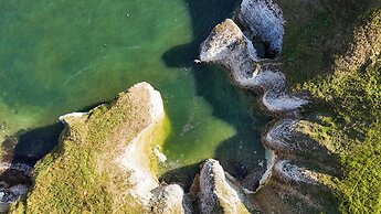 Guillemot