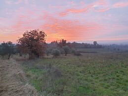 Allegra Viareggio Appartamento & Affittacamere Guest house