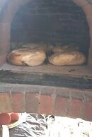 Sitio Libardo - Nova Trento - SC