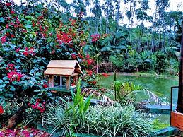 Sitio Libardo - Nova Trento - SC