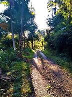 Sitio Libardo - Nova Trento - SC