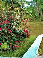 Sitio Libardo - Nova Trento - SC