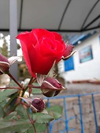 Pousada águia da serra