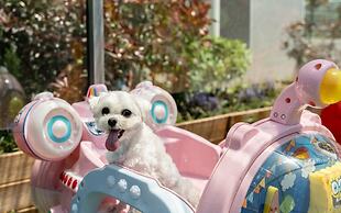 Gyeongju Joypoolvilla&kidspension