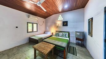 Wild Wadi wilpattu