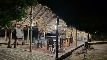 Wild Wadi wilpattu