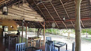 Wild Wadi wilpattu
