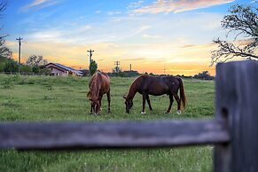 Pecan Grove Container Tiny Home Country Setting 12 min to Baylor Magno