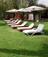Riad Las Palmeras Guest House, Marrakech