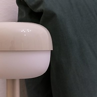 Castiglione 49 in Bologna