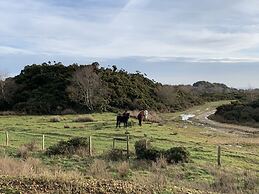 Agua de Plata, 16 Wakeling Island, Silverlake