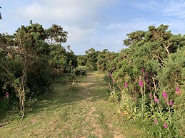 Agua de Plata, 16 Wakeling Island, Silverlake
