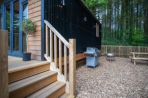 Cabin In The Woods - 1 Bedroom Lodge - Kilgetty