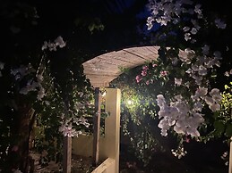 Casa de las Libélulas