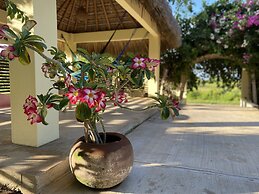 Casa de las Libélulas