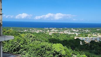 Bahia Suite The Escape