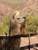 CasaCalma Hotel Boutique