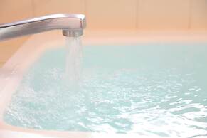 Time Traveler Izu Shuzenji