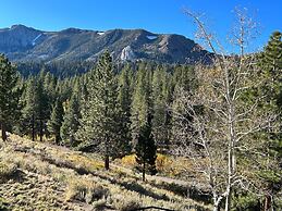 Inviting Mountain Retreat Steps From Ski Lifts!
