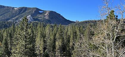 Inviting Mountain Retreat Steps From Ski Lifts!