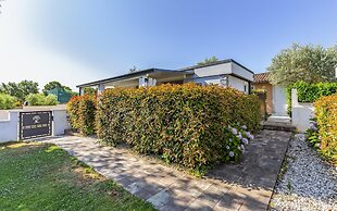 Mobile Homes Rocco 2