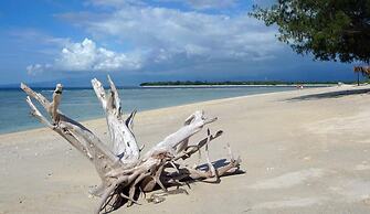 Mango Dive & Bungalow