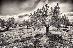 Agriturismo Casa Greppo - Il Noce