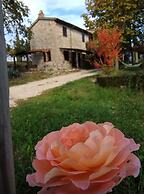 Agriturismo Casa Greppo - Il Noce