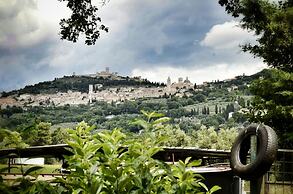 Agriturismo Casa Greppo - Il Noce