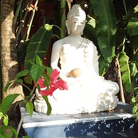 Sashas Holiday Village