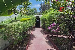 Ilet du Lagon