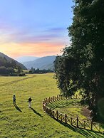 Shujiawuxiangluoguqingtubuminsu