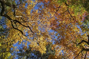 Shujiawuxiangluoguqingtubuminsu