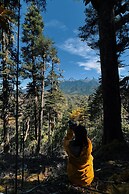 Shujiawuxiangluoguqingtubuminsu