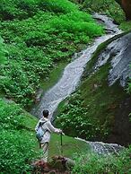 Shujiawuxiangluoguqingtubuminsu