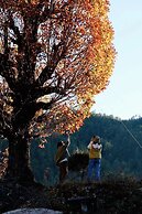 Shujiawuxiangluoguqingtubuminsu