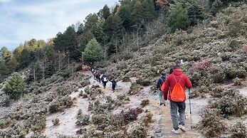 Shujiawuxiangluoguqingtubuminsu