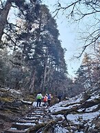 Shujiawuxiangluoguqingtubuminsu