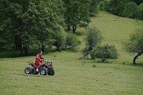 Shujiawuxiangluoguqingtubuminsu