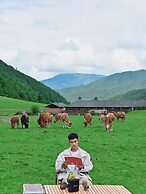 Shujiawuxiangluoguqingtubuminsu