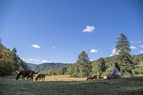 Shujiawuxiangluoguqingtubuminsu