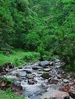 Shujiawuxiangluoguqingtubuminsu