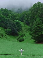 Shujiawuxiangluoguqingtubuminsu