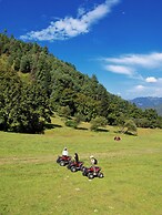 Shujiawuxiangluoguqingtubuminsu